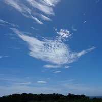門屋智津子 (@2vehaucbesrkuzk) 's Twitter Profile Photo 門屋智津子 (@2vehaucbesrkuzk) 's Twitter Profile Photo