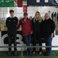 O'Brien Poll Merino and O'Brien Dohne Merino (@darrenpobrien) 's Twitter Profile