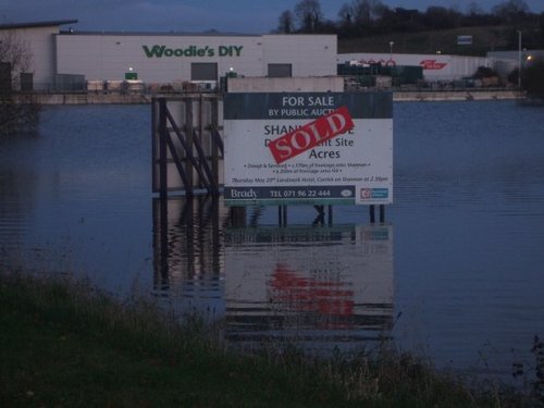 dermottb's profile picture. 