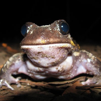 Dedicated to the conservation of all species, we make up the University of Newcastle's Conservation Science Research Group