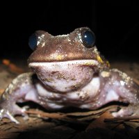 Conservation Science Research Group (@conservationuon) 's Twitter Profile