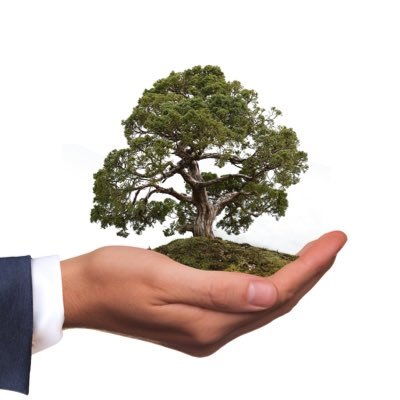 Conscious and sustainable living. Trying to leave the planet in a better state than we found it. #ecofriendly #thegreenpill