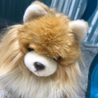 ami (@u_u_oo12) 's Twitter Profile