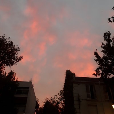 lostmyhe4d's profile picture. 