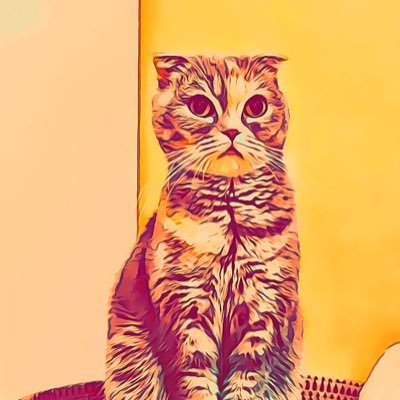 rokanoa's profile picture. 