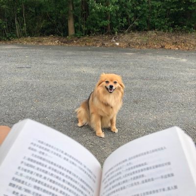 2qHA031dppMDvnm's profile picture. 