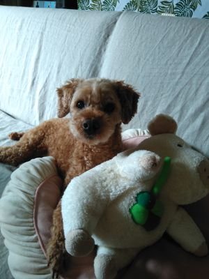 u6WpfRrX2deEuEf's profile picture. 🐖笑顔で楽しく、毎日を大切に生きたい🐕

ブレずに国民に寄り添い、日本の平和幸せの為に汗と涙を流し、アンチにも愛で懐の深い、聡明な山本太郎さんを尊敬、全力応援中🔥太郎さん支援者や人生を笑顔で前向きに生きている方と繋がりたい✨
無言フォローの失礼、お許し下さい
🍀自然、ハンドパン🎶スターダストレビュー好き🤗