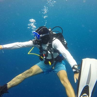 pcoudret's profile picture. i dive the world bc some one has to