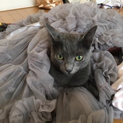 LeithAssouad's profile picture. 