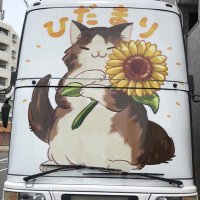 保護猫カフェひだまり号(公式) (@hidamarigou) Twitter profile photo