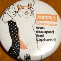 しげない工房🐈4/26まるデザ・5/3〜5にゃっ展 (@shigenaik) 's Twitter Profile Photo しげない工房🐈4/26まるデザ・5/3〜5にゃっ展 (@shigenaik) 's Twitter Profile Photo
