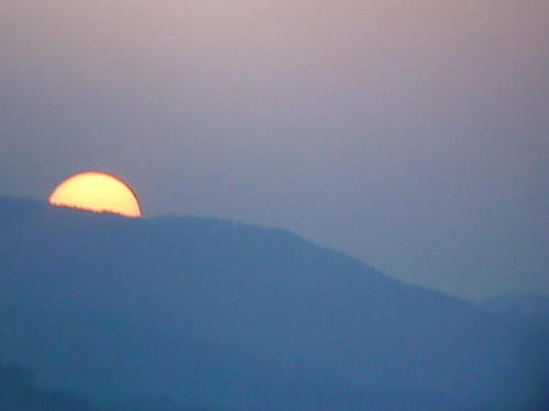 mikelaemmli's profile picture. 