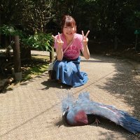 れい(･ω･) (@reimomonyaa) 's Twitter Profile