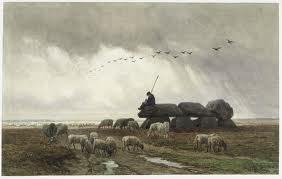 _tynaarlo's profile picture. Al het nieuws over Tynaarlo