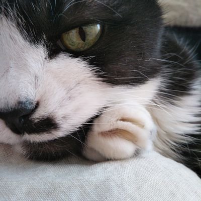 うっちうっちさんのプロフィール画像