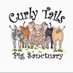 Curly Tails (@curlytailspigs) Twitter profile photo