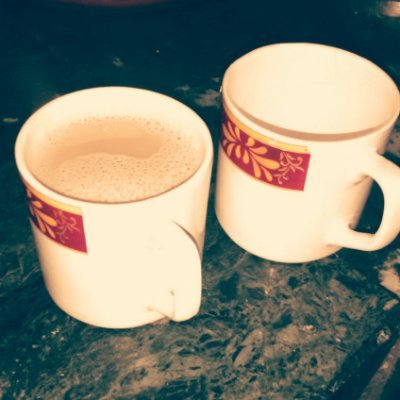 bharatbisht3151's profile picture. शासक