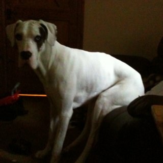 deetee34's profile picture. 