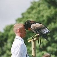 Somerset County Show (@somersetcountys) 's Twitter Profile