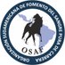 OSAF (@osafweboficial) Twitter profile photo