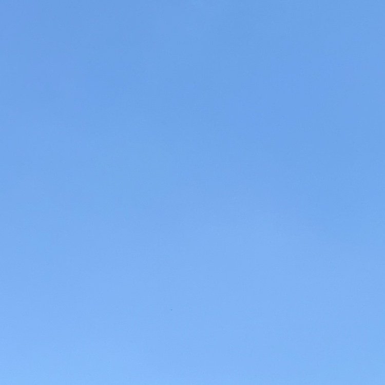 mdln_nex's profile picture. 