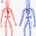 Aneurin Bevan Vascular Department (@aneurinvascular) Twitter profile photo