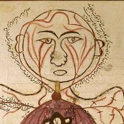 R1__Sam's profile picture. Out beyond ideas of wrong doing and right doing, there is a field. I'll meet you there.  Rumi