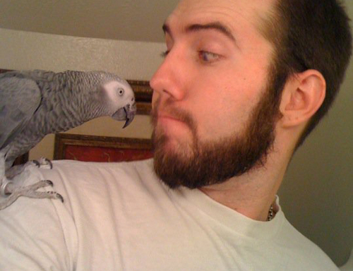 GeraldRollason's profile picture. Businessman . Marketer . Developer . Designer . Husband . Penguin Enthusiast . Way TOO Tall . Quirky . Surfer . Active