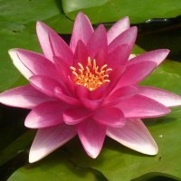 C-167 🇫🇷🇨🇭🇰🇿 🕊️ (@c167bis) 's Twitter Profile Photo