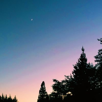 _the_rainbows's profile picture. FAN ACCOUNT