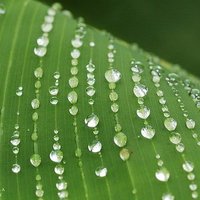 Northwest Kansas Groundwater Management District 4 (@shannonkenyon4) 's Twitter Profile Photo