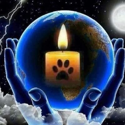 teresabewsey5's profile picture. THEY SAY MANY LITTLE DOT'S MAKE ONE BIG DOT, SO LET ALL OF US LITTLE DOT'S FIGHT TOGETHER AND STOP ALL ANIMAL ABUSE NO MATTER WHAT .