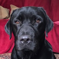 mary (@longfordmary) 's Twitter Profile Photo