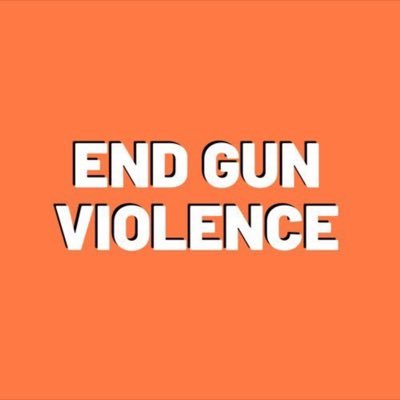 Didn’t attempt a coup and Don’t support anyone that did… support those that want to improve lives and support sensible gun laws.