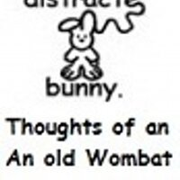 Ser Wombat the Elder (@anoldwombat) 's Twitter Profile