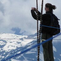 AM ☮️ (@dreathereal) 's Twitter Profile Photo