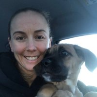 Ashley Stephenson (@pestevie) 's Twitter Profile