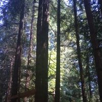 Cécile Philippe (@ccilephilippe1) 's Twitter Profile