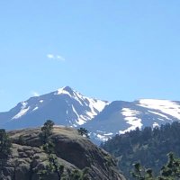 Dione (@dionec) 's Twitter Profile