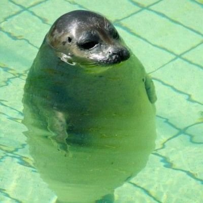 Kagura43883779's profile picture. twitter c rigolo