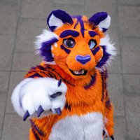 Jolly The Tiger (@jollytiger2) 's Twitter Profile