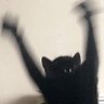 DeVez2223's profile picture. 미국에서 덕질하며 사는 잡덕/주관적 미국살이 리뷰/ 구독o.k/교류맞팔-멘션부탁드려용! /나루토군과 행쇼중♡@naruto_for_DV
