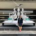 Rebeca Barrera Amador (@rebecabaram1) Twitter profile photo Rebeca Barrera Amador (@rebecabaram1) Twitter profile photo