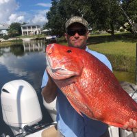 Drew Whiting (@drew_whiting) 's Twitter Profile