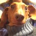 Marlene (@marlenevav) Twitter profile photo