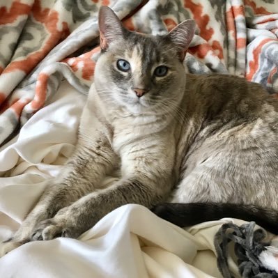 kat42710033's profile picture. Nothing