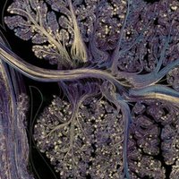 UCBerkeley Psychology (@berkeleypsych) 's Twitter Profile