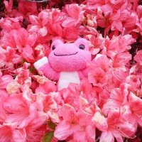 Pinky (@pinky2019isde) 's Twitter Profile Photo Pinky (@pinky2019isde) 's Twitter Profile Photo