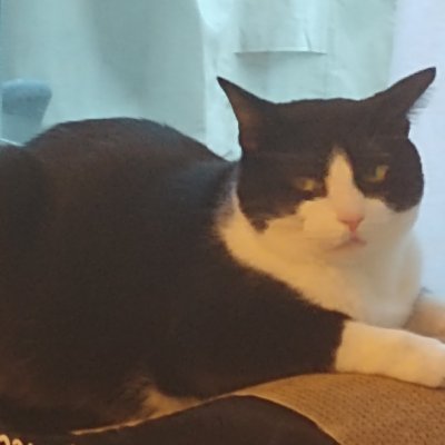 TechzoidYT's profile picture. I like to play games and my youtube channel is Techzoid.