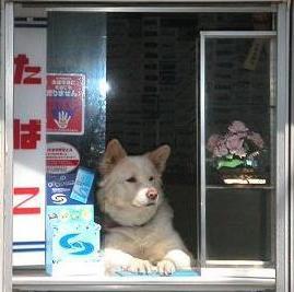 がばりんさんのプロフィール画像